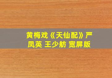 黄梅戏《天仙配》严凤英 王少舫 宽屏版